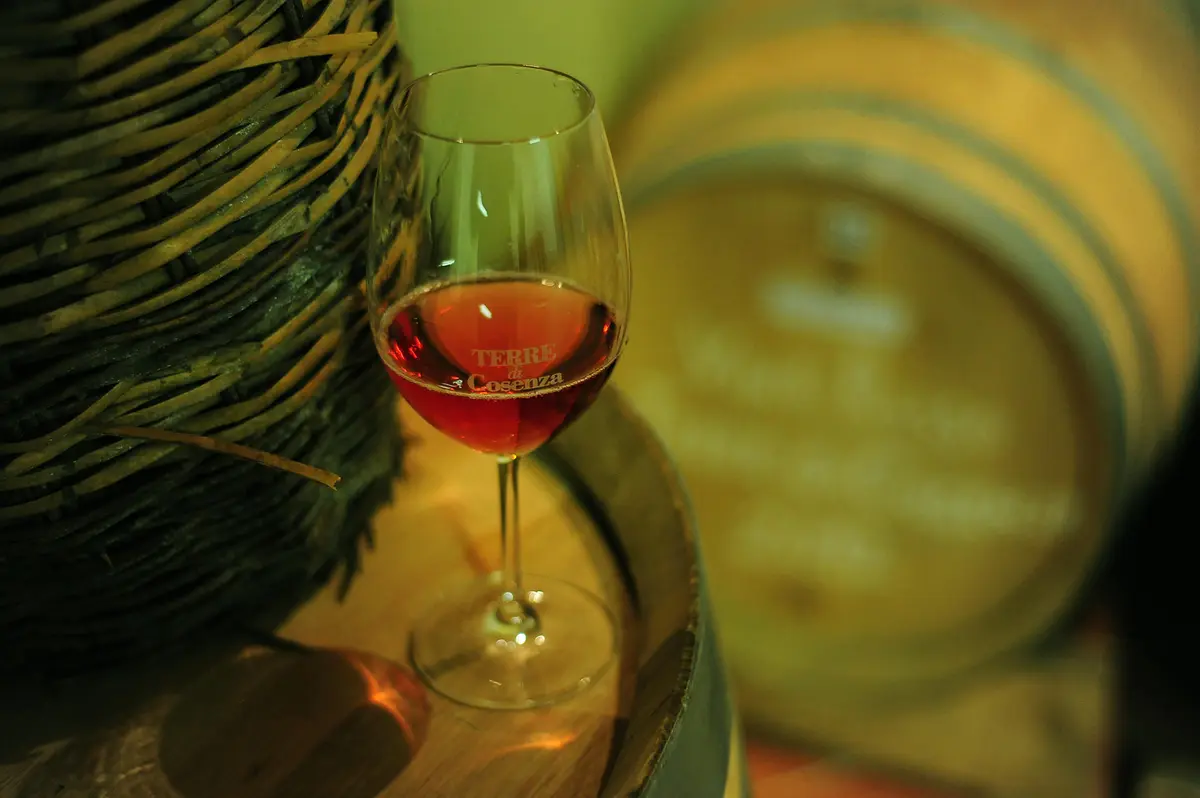 Vino Terre di Cosenza DOC