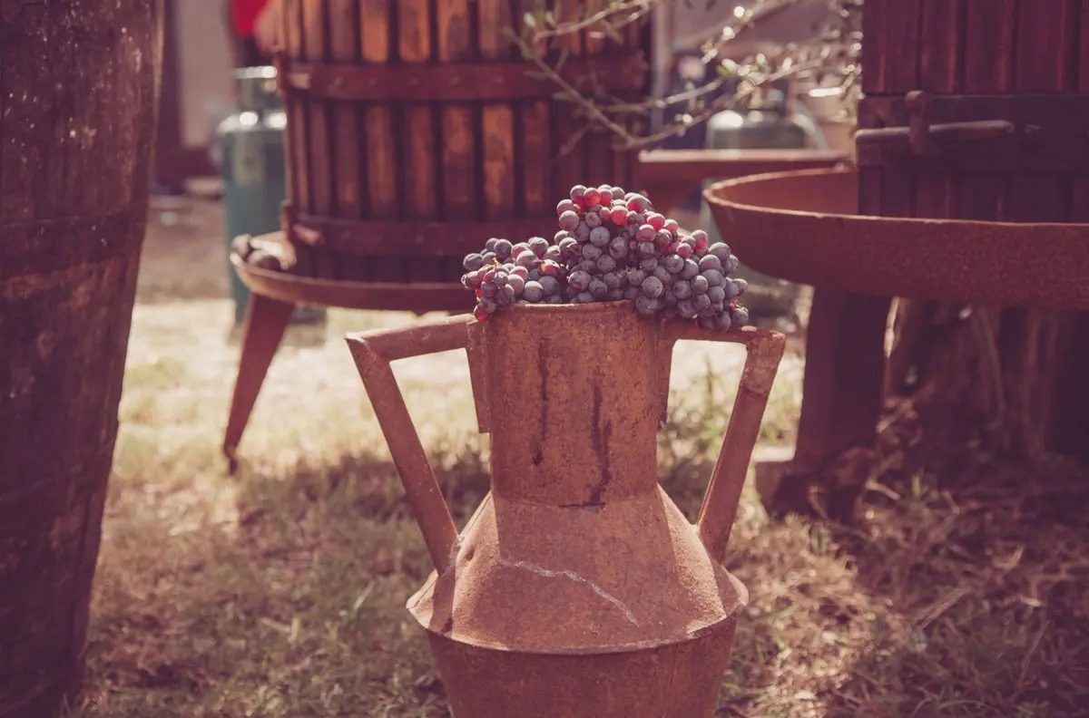 Alla scoperta degli antichi palmenti da vino
