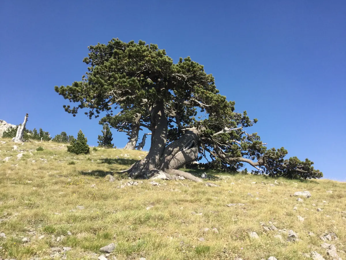 Nature trekking along the Calabria Italia Trail
