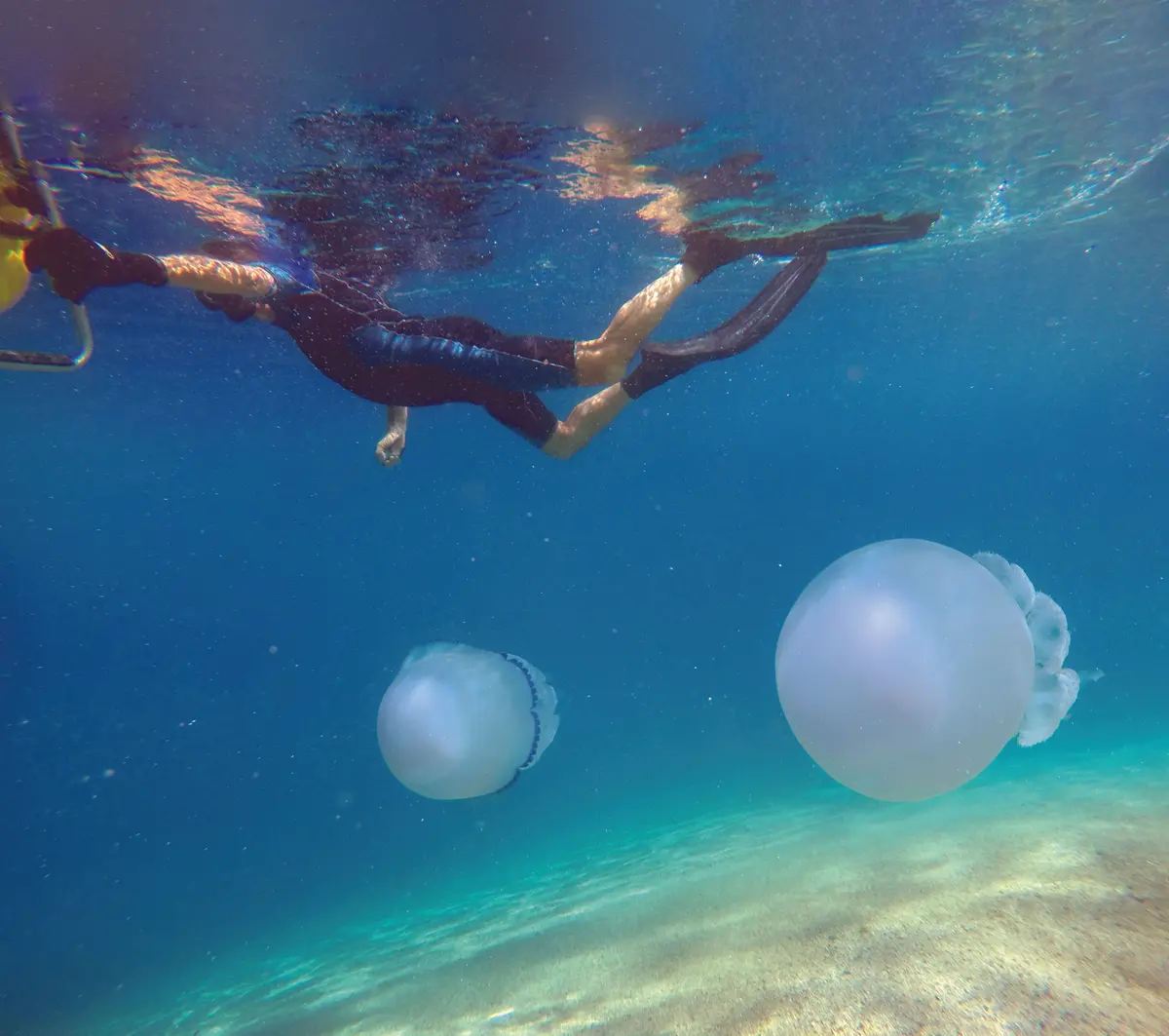 Where to snorkel in Calabria: suggested destinations