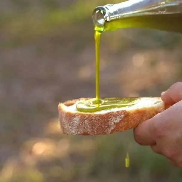 Turismo esperienziale a Maida: dall'orto alla tavola