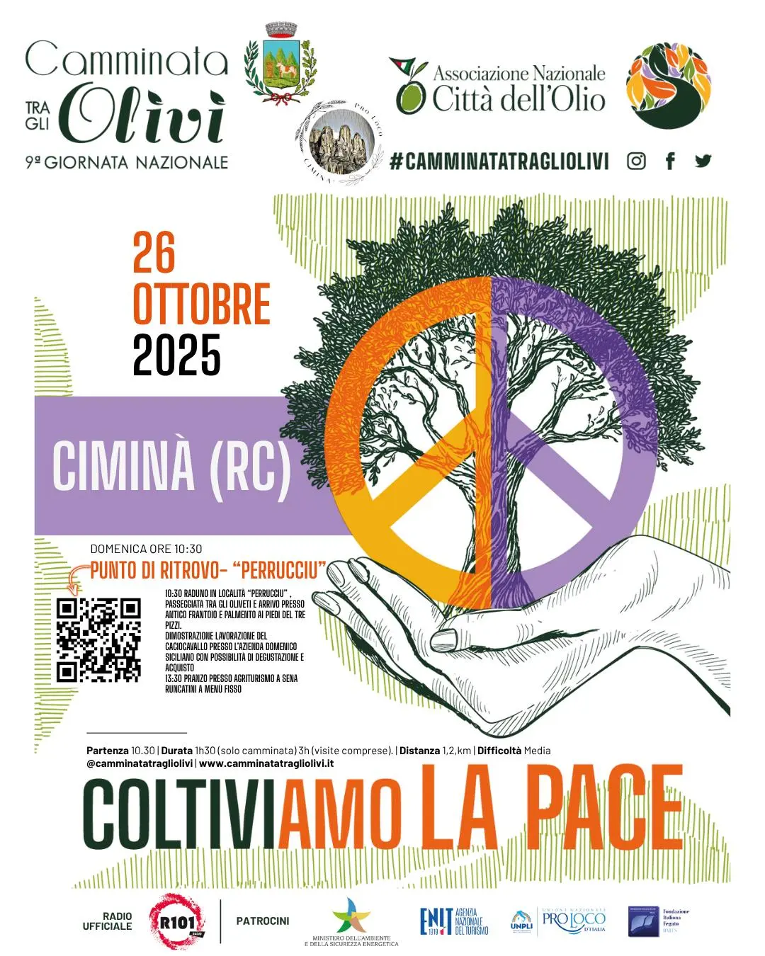 Locandina evento Camminata tra gli olivi Ciminà