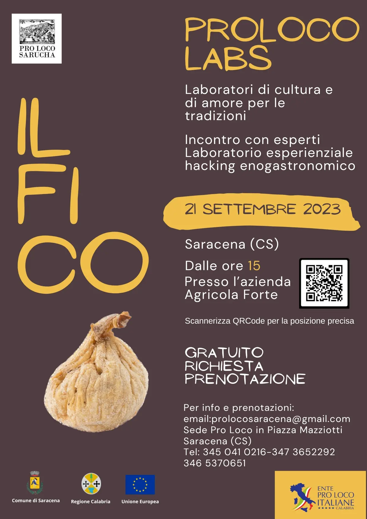 Poster Sagra Pasta Fresca Illustrato Giallo Blu - 1
