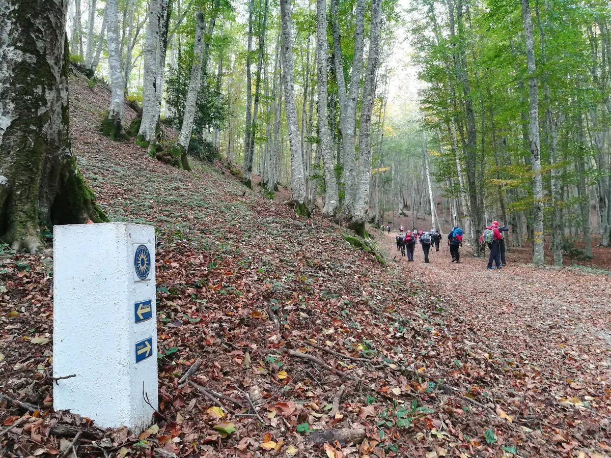 Der Pilgerweg des Heiligen Franziskus von Paola: Via dei Monasteri