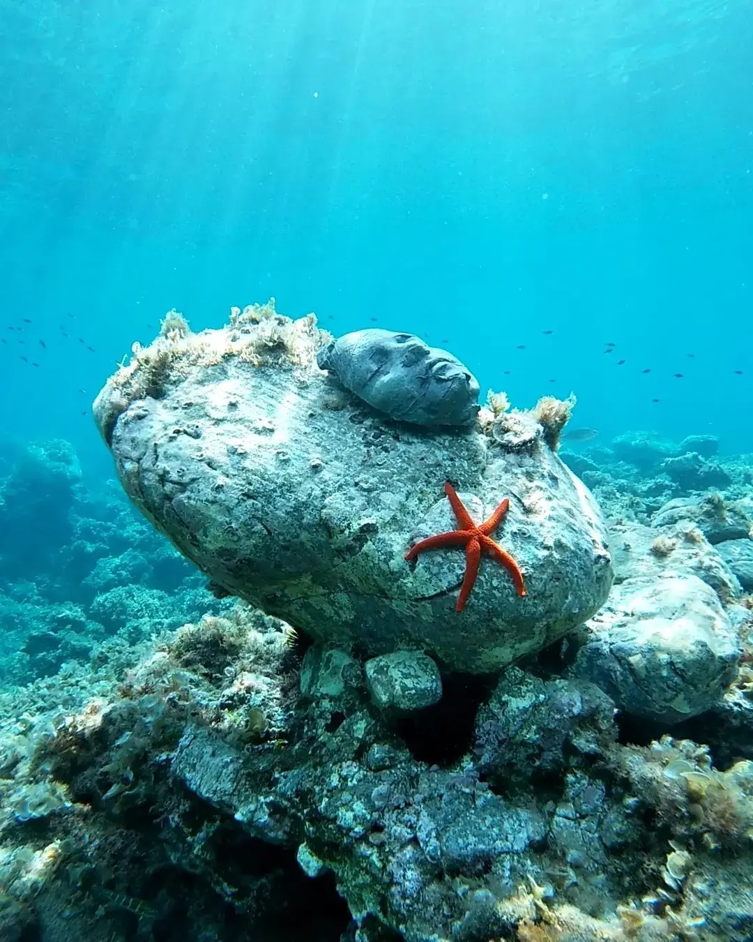 Museo Subacqueo Atlantide, Diamante