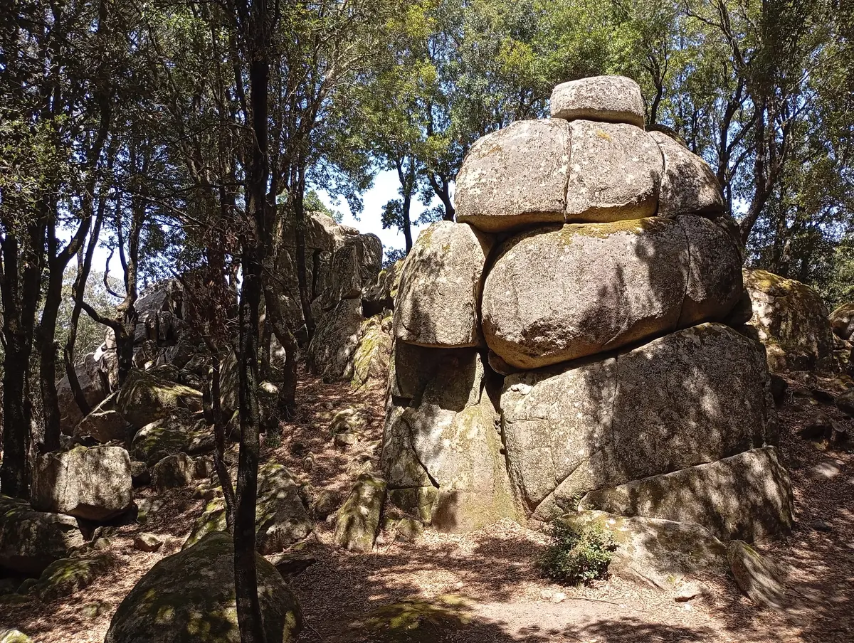 Megaliti di Nardodipace