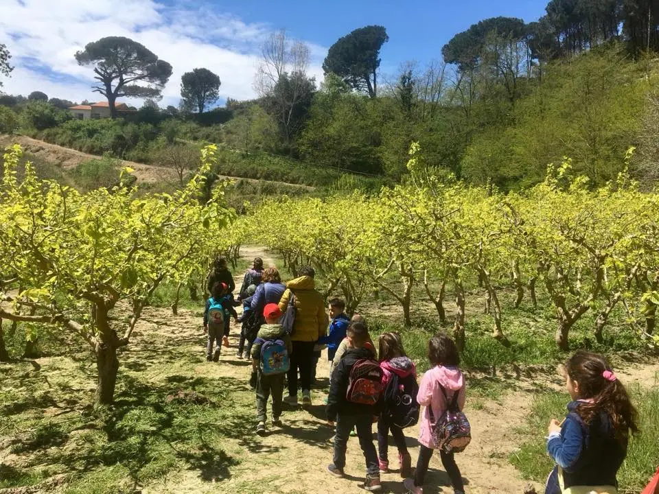Fattoria didattica San Floro
