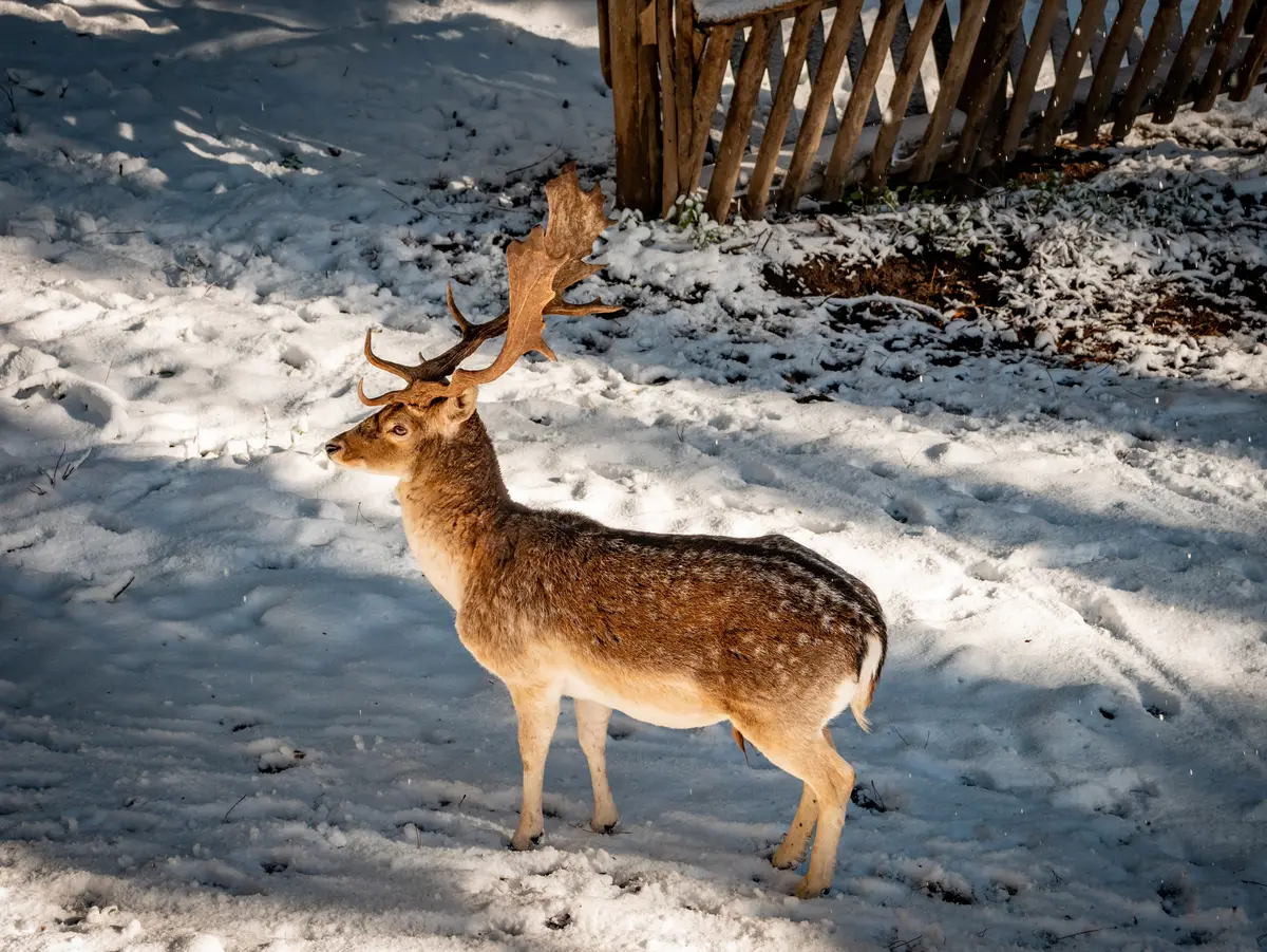 Centro Visitatori Monaco "Antonio Garcea"