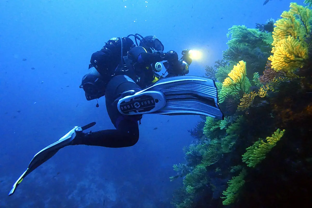 Water sports in Calabria: where to practice them