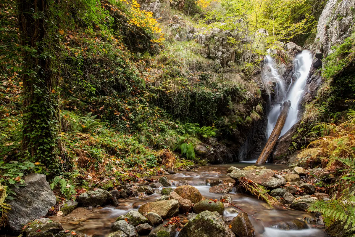 Tour of mineral water springs in Calabria