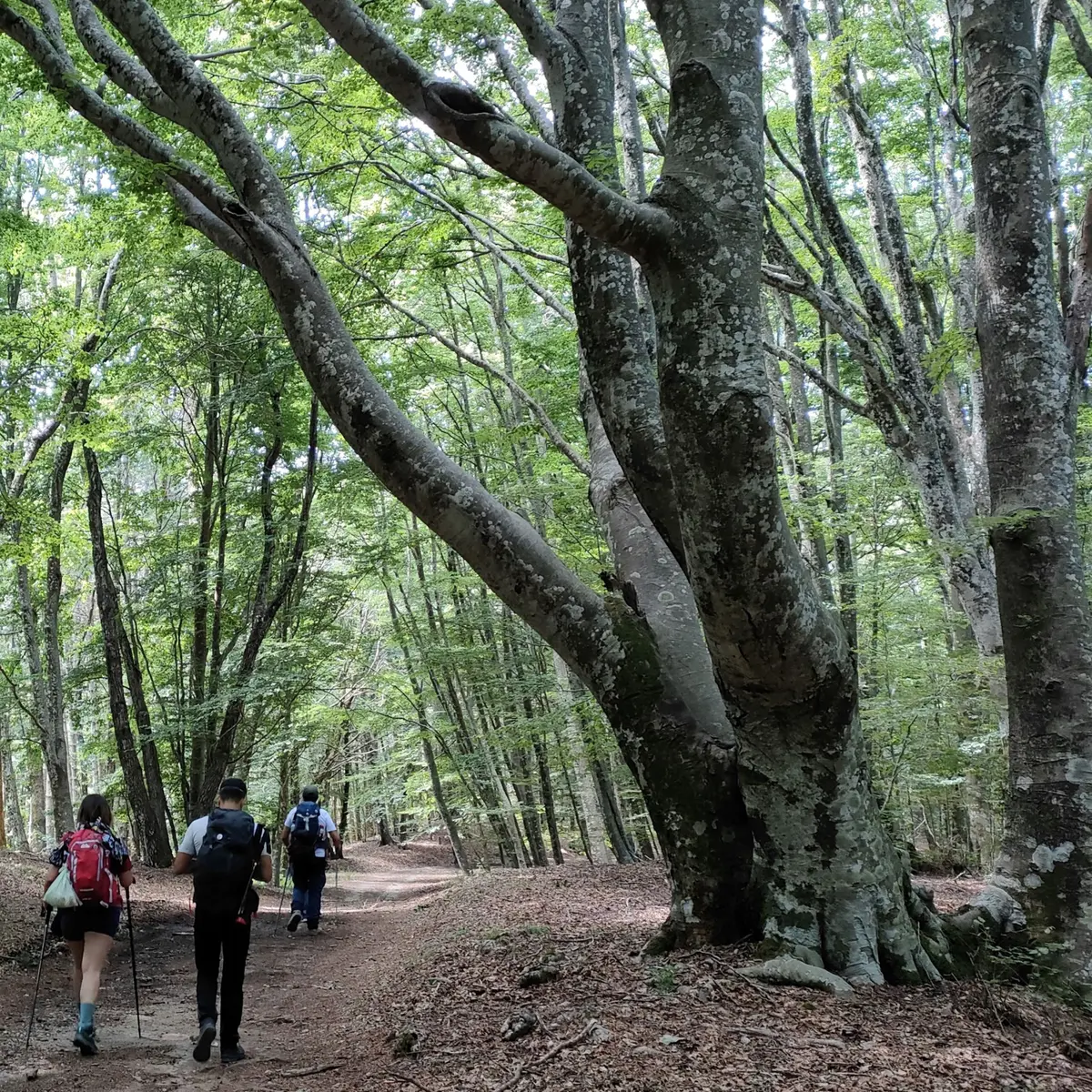 Il Cammino di San Francesco di Paola: la Via del Giovane