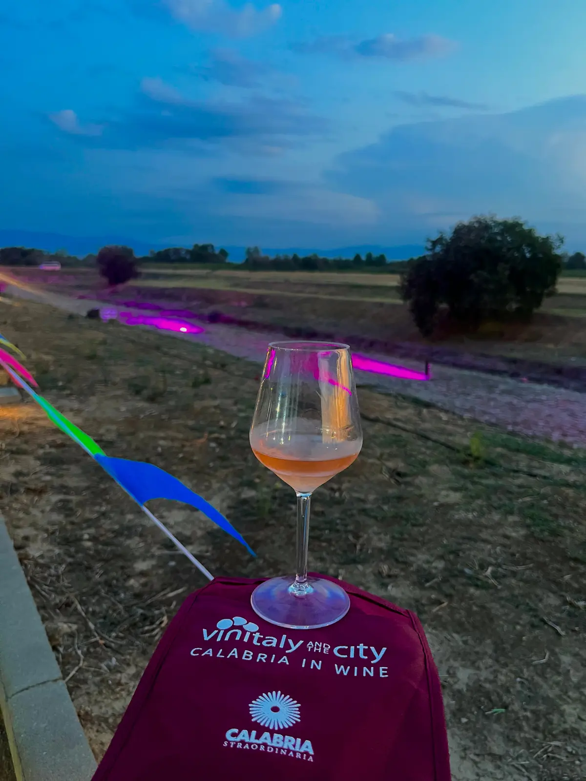 Vinitaly and the City