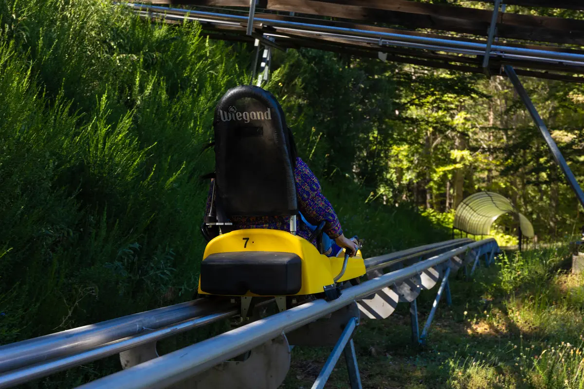 A ride on the Bobsleigh track in Lorica