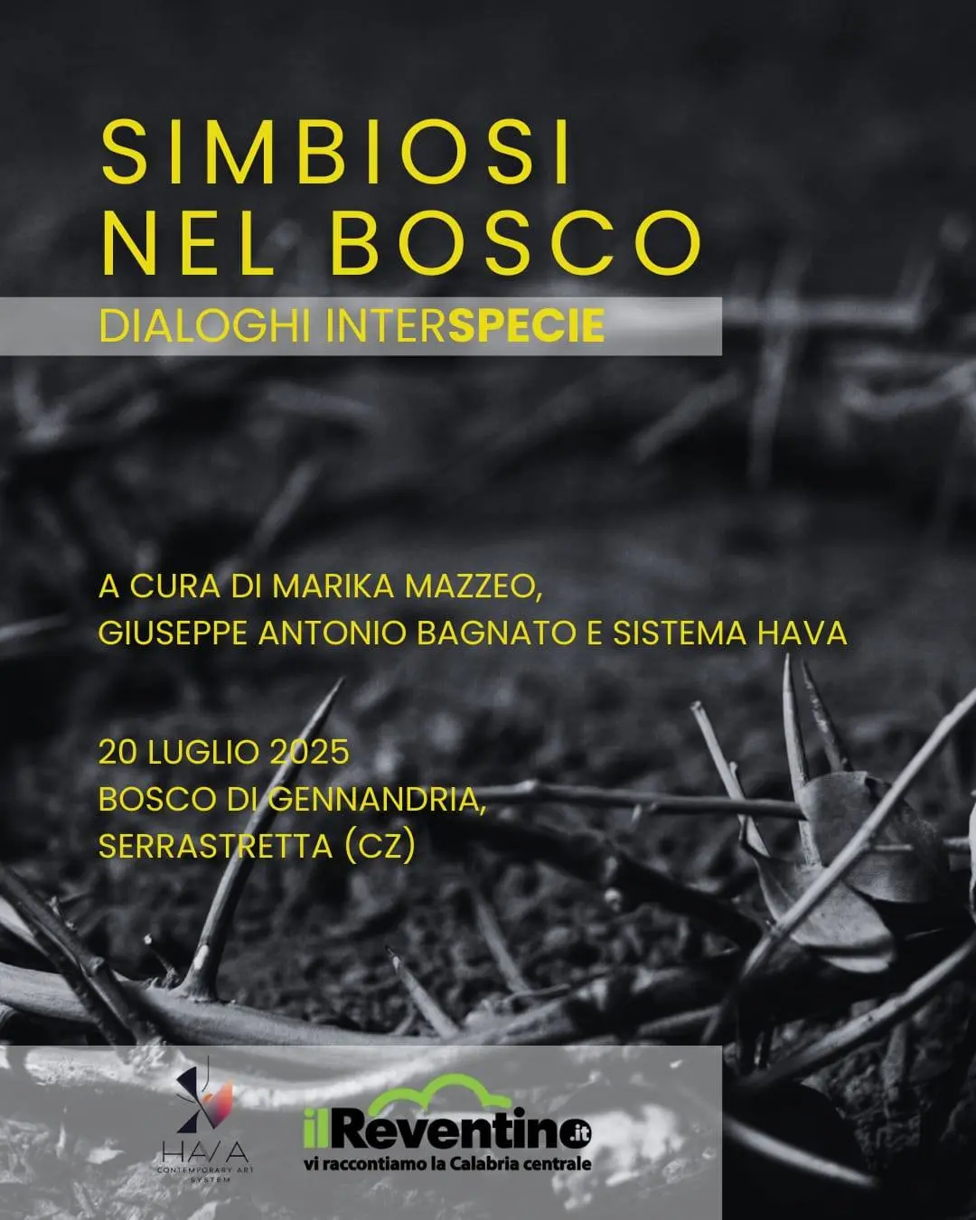 Locandina evento Simbiosi nel bosco