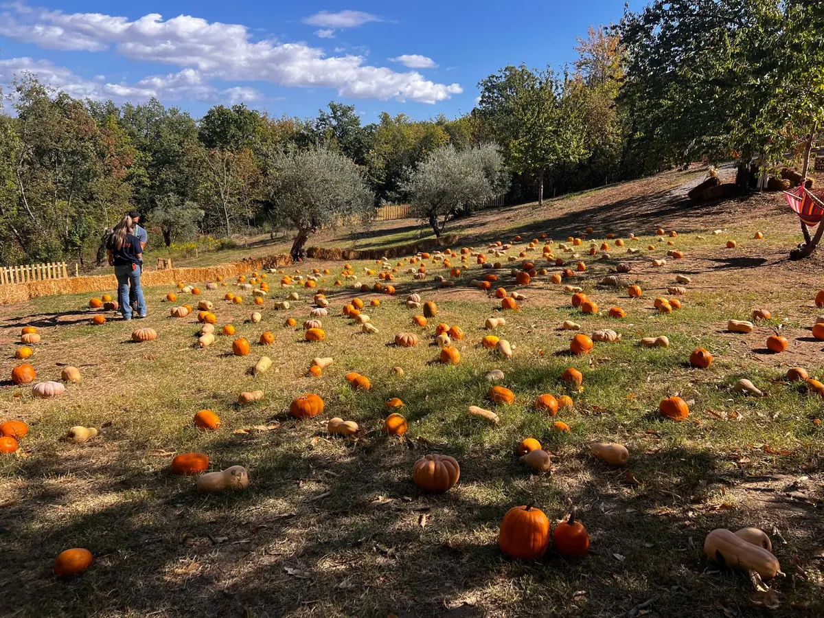 The Valley of the Pumpkins: nature and taste in the heart of the Pollino