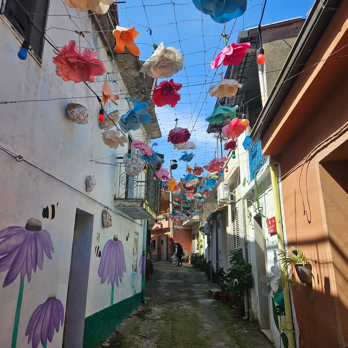Tour dei vicoli caratteristici in Calabria