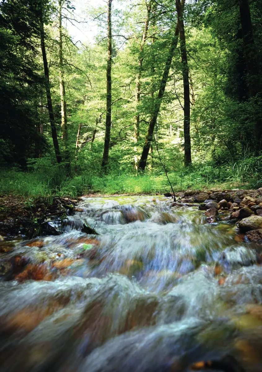 Serre Regional Natural Park