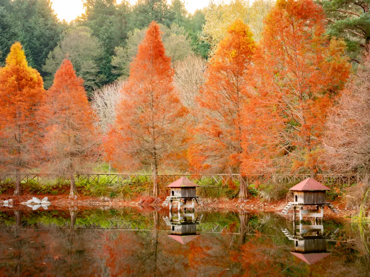 Riserva Naturale Cropani-Micone