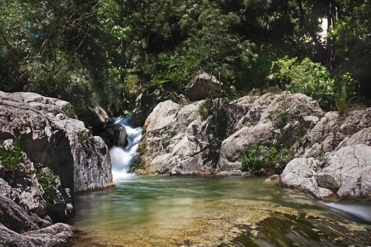 Vergari Regional Nature Reserve