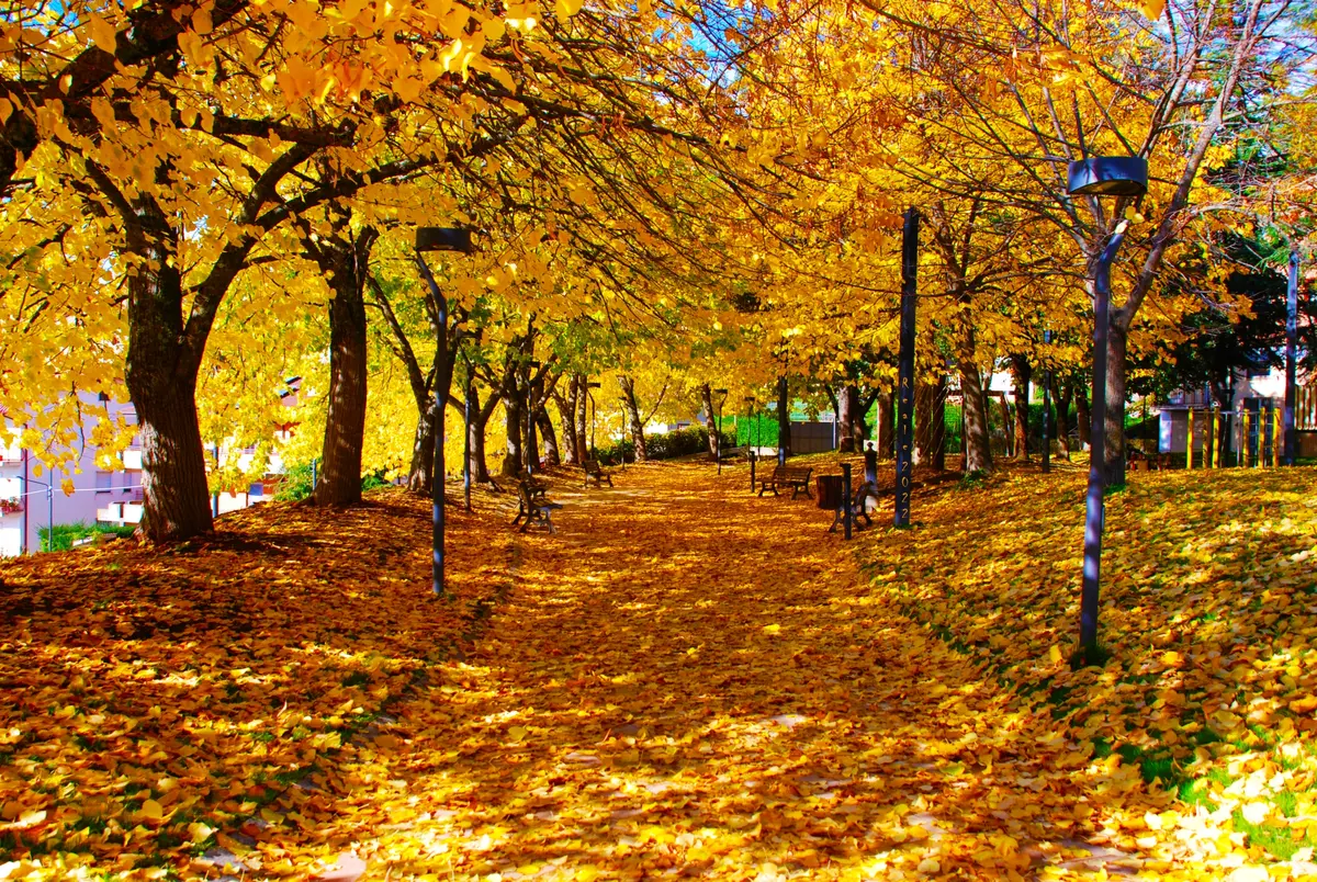 Riserva Naturale "Iona-Serra della Guardia"