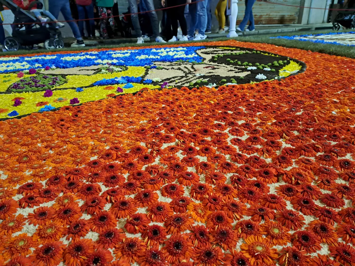 L'Infiorata di Taurianova, un'esplosione di colori