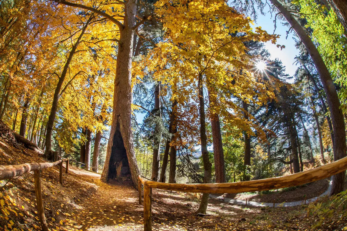Parco Nazionale della Sila