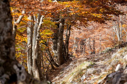 Montagna di Pollino