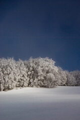 Montagna Neve di Pollino