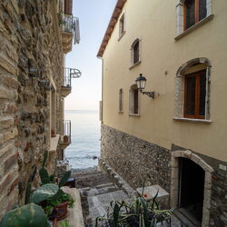 Scilla