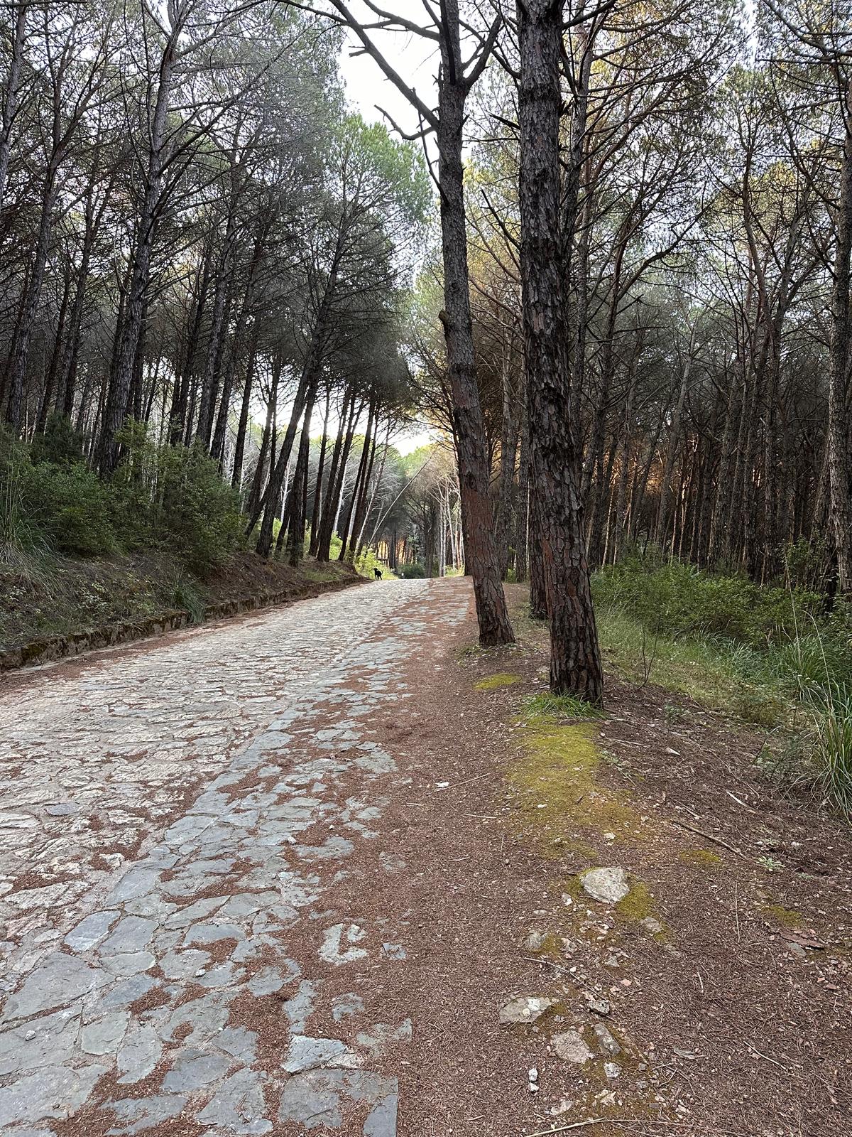 Parco Dossi-Comuni