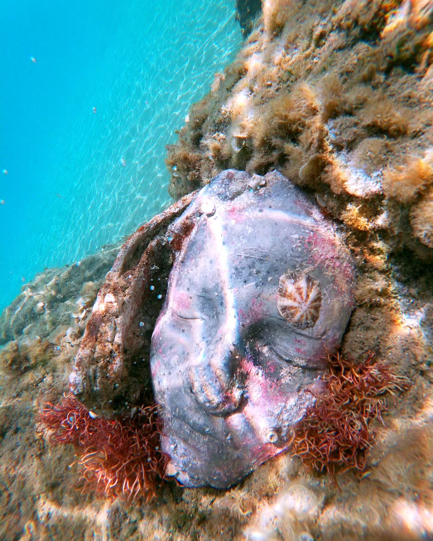 Museo Subacqueo Atlantide, Isola di Cirella