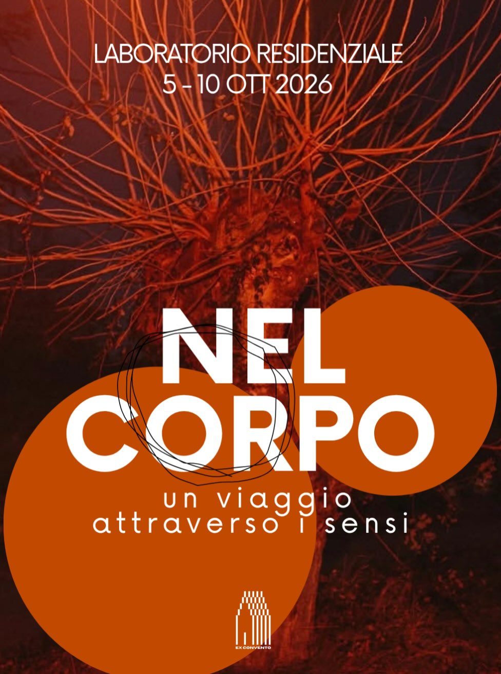 Nel Corpo: un viaggio attraverso i sensi