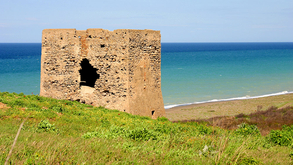 Punta Alice