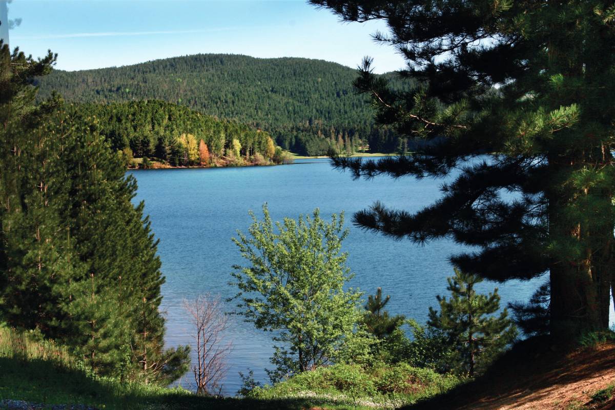 Lago Ampollino