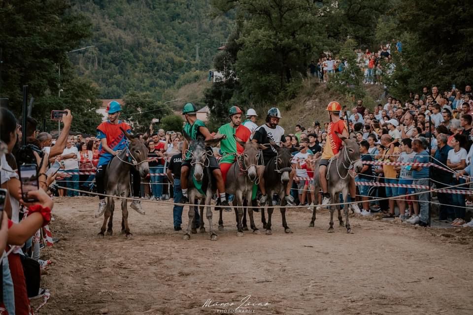Palio cu i ciucci