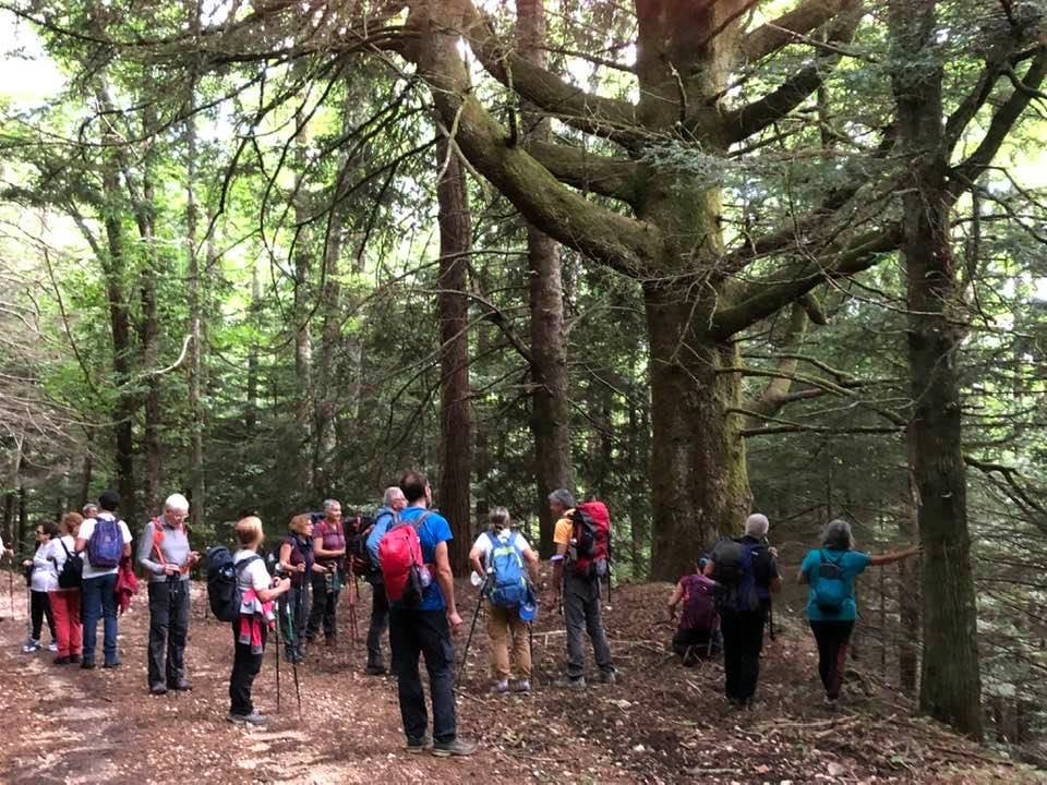 Aiello Calabro Trekking