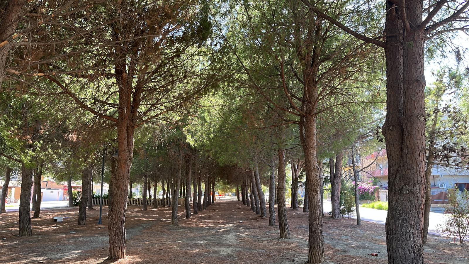 Marina di Gioiosa Ionica