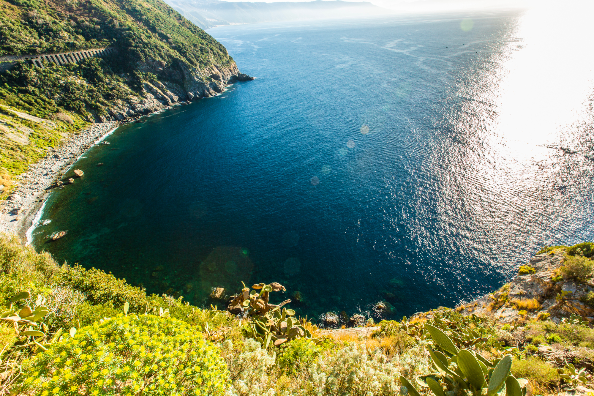 Cala janculla