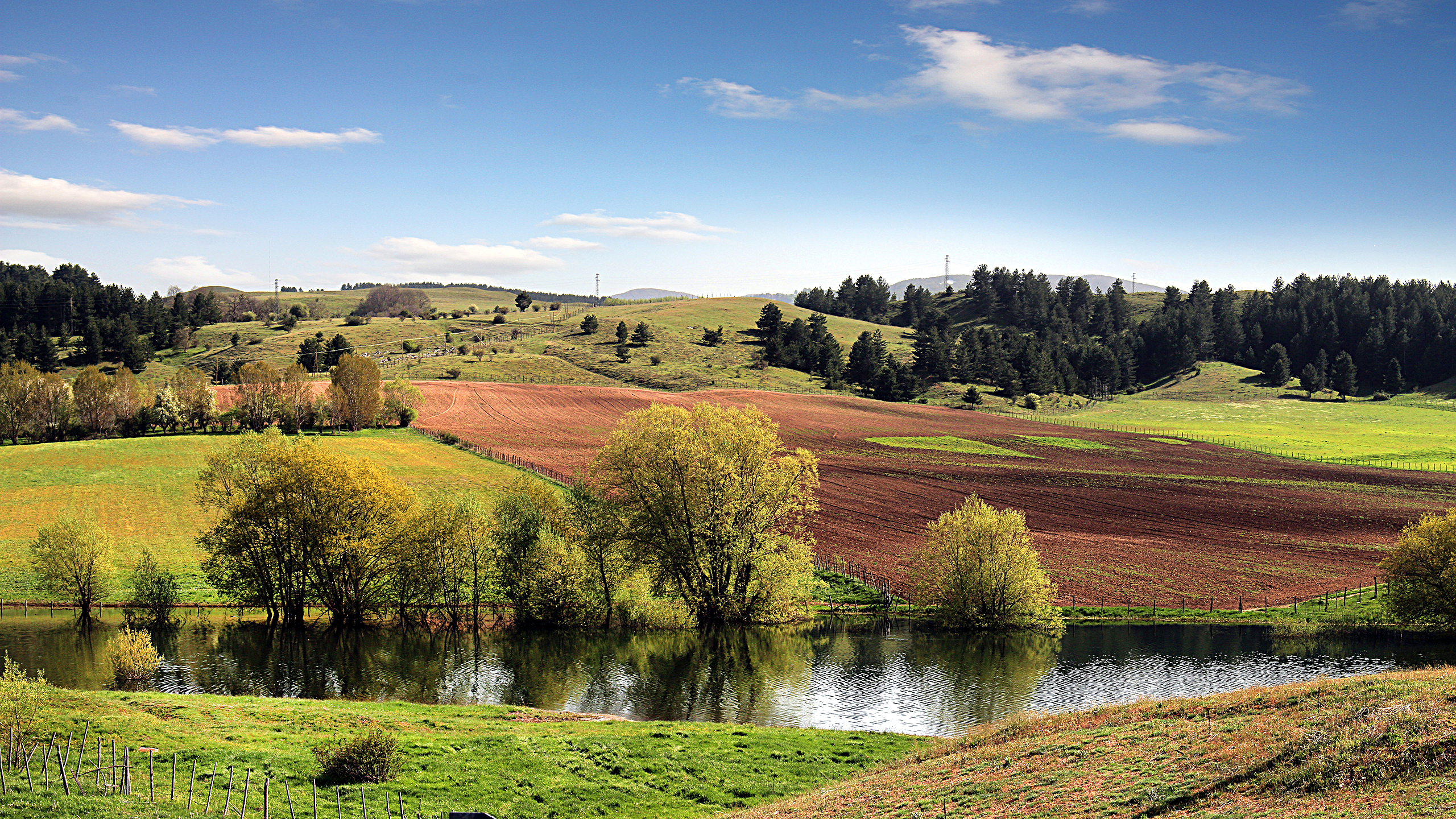 Lago cecita