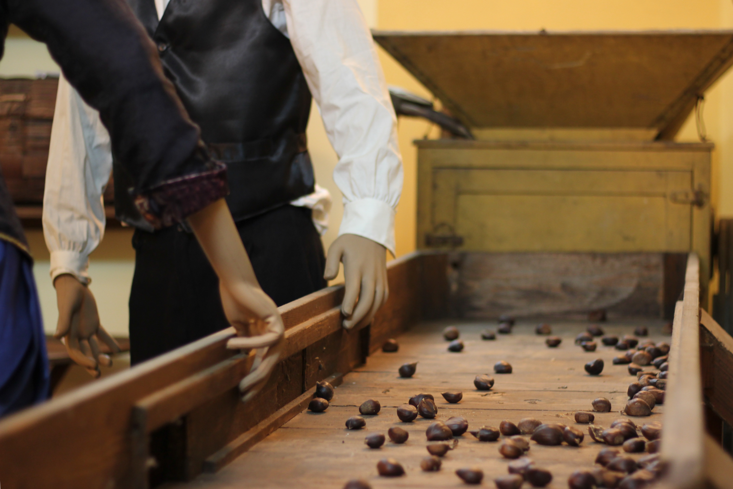 Museo Castagne Cerva
