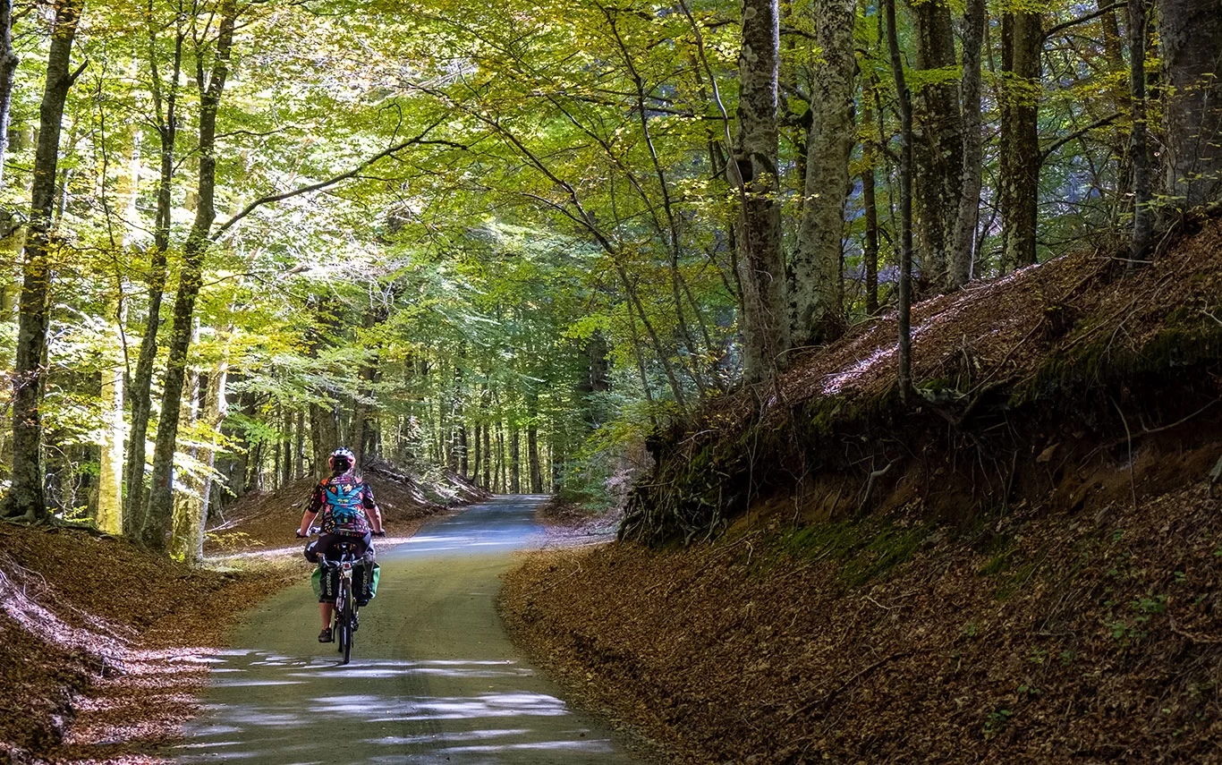 Aspromonte