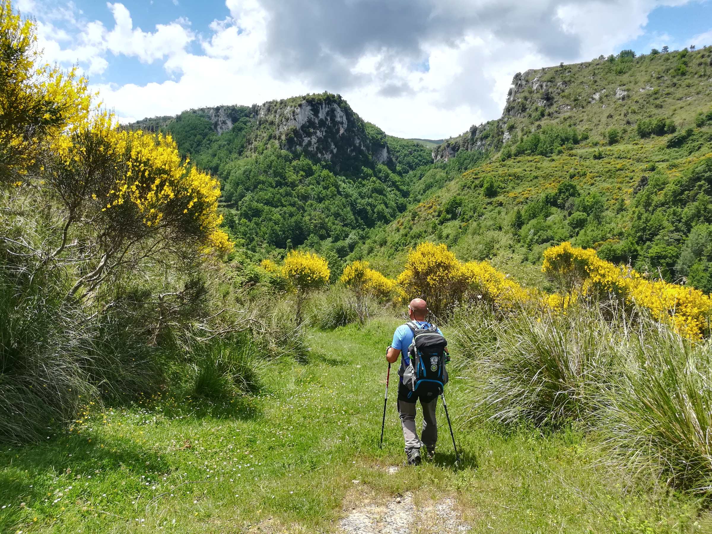 Cammino di San Francesco