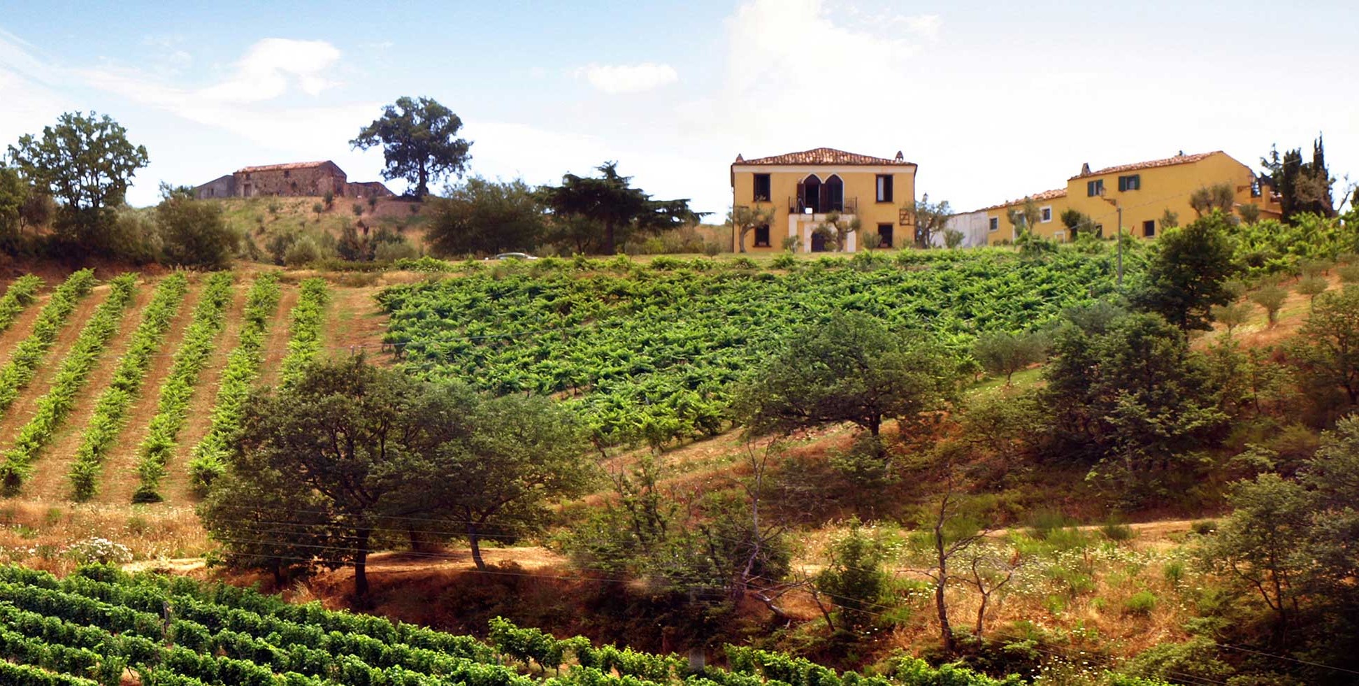 Bisignano