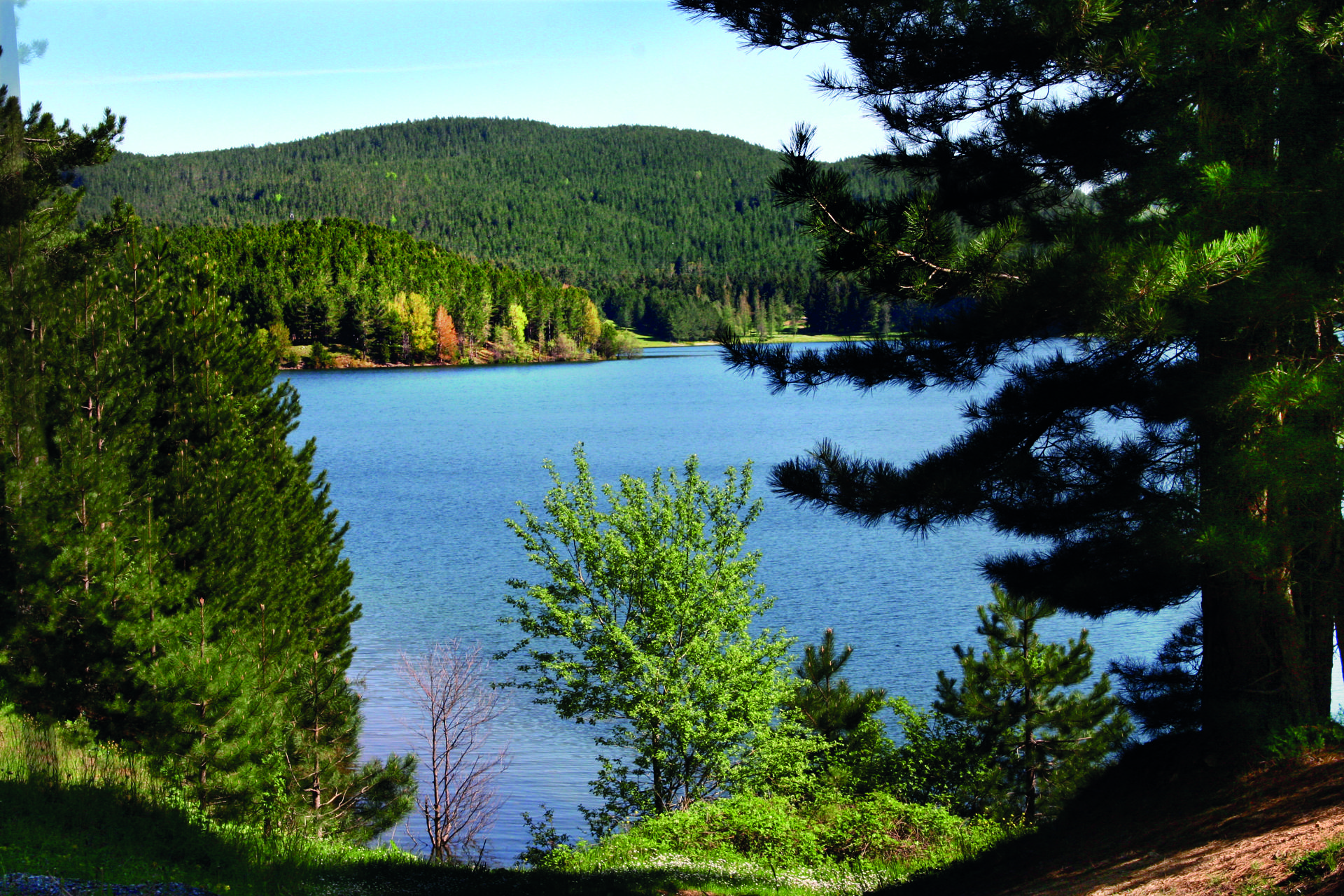 Lago Ampollino
