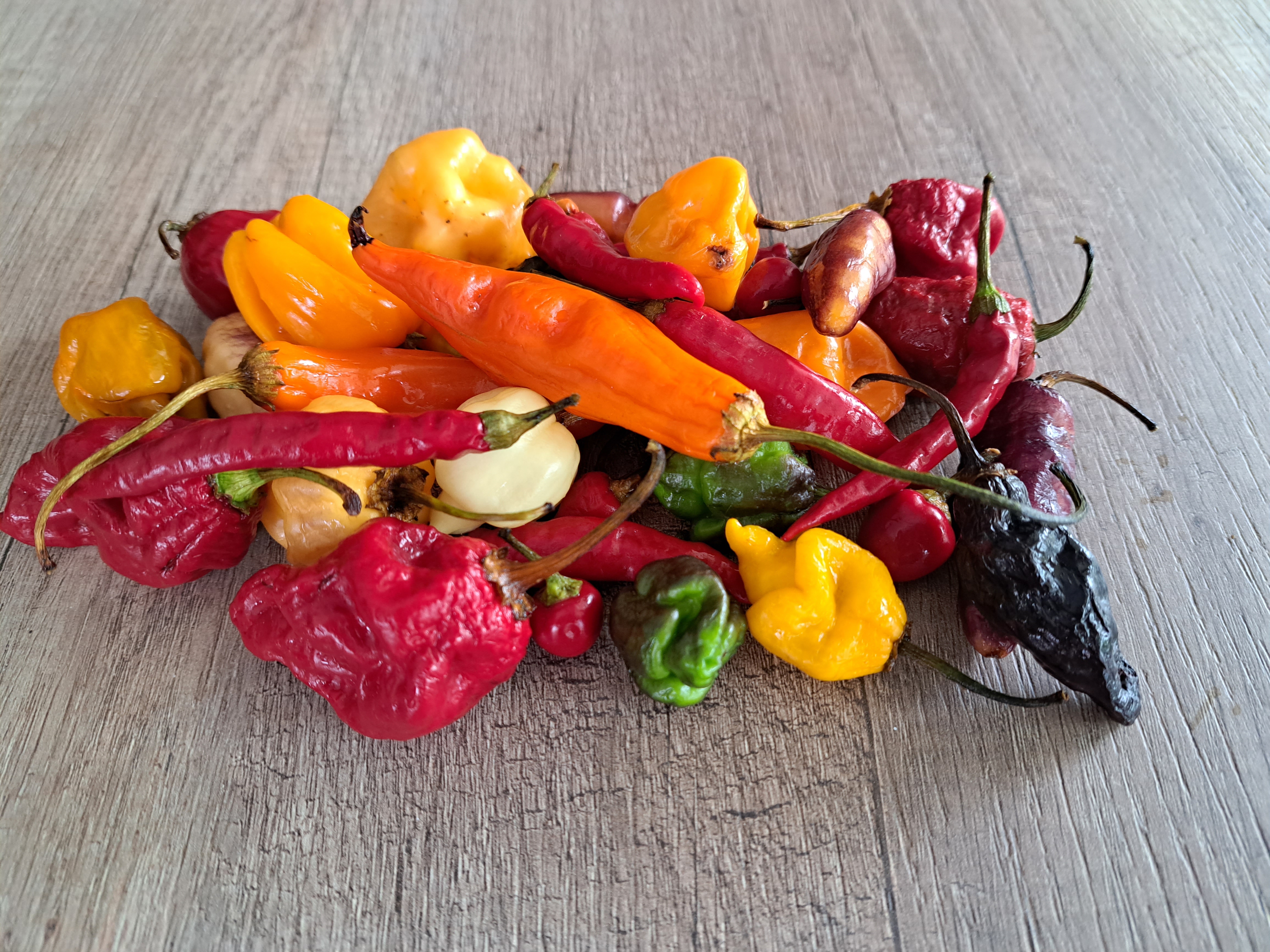Peperoncino