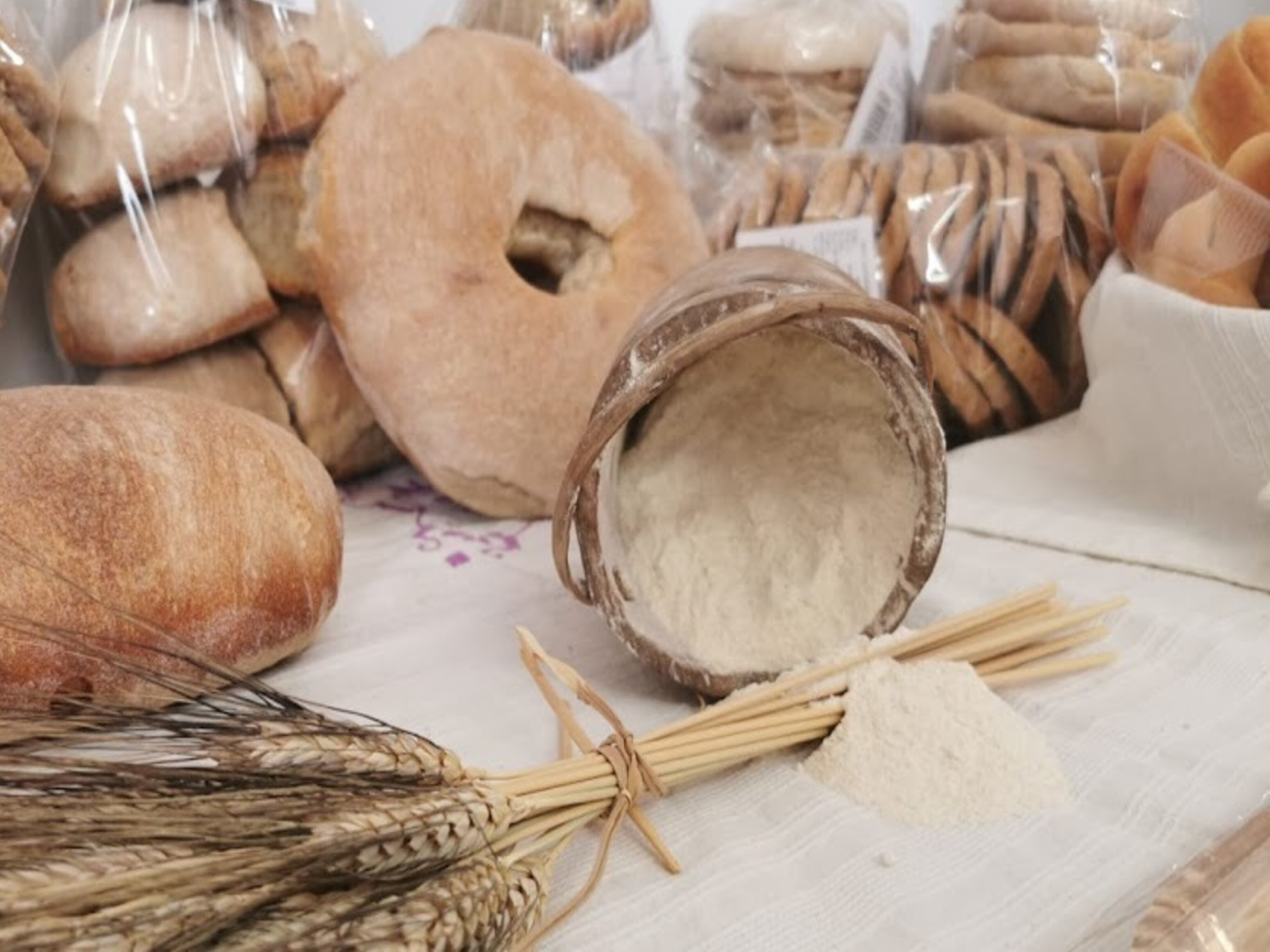 Pane