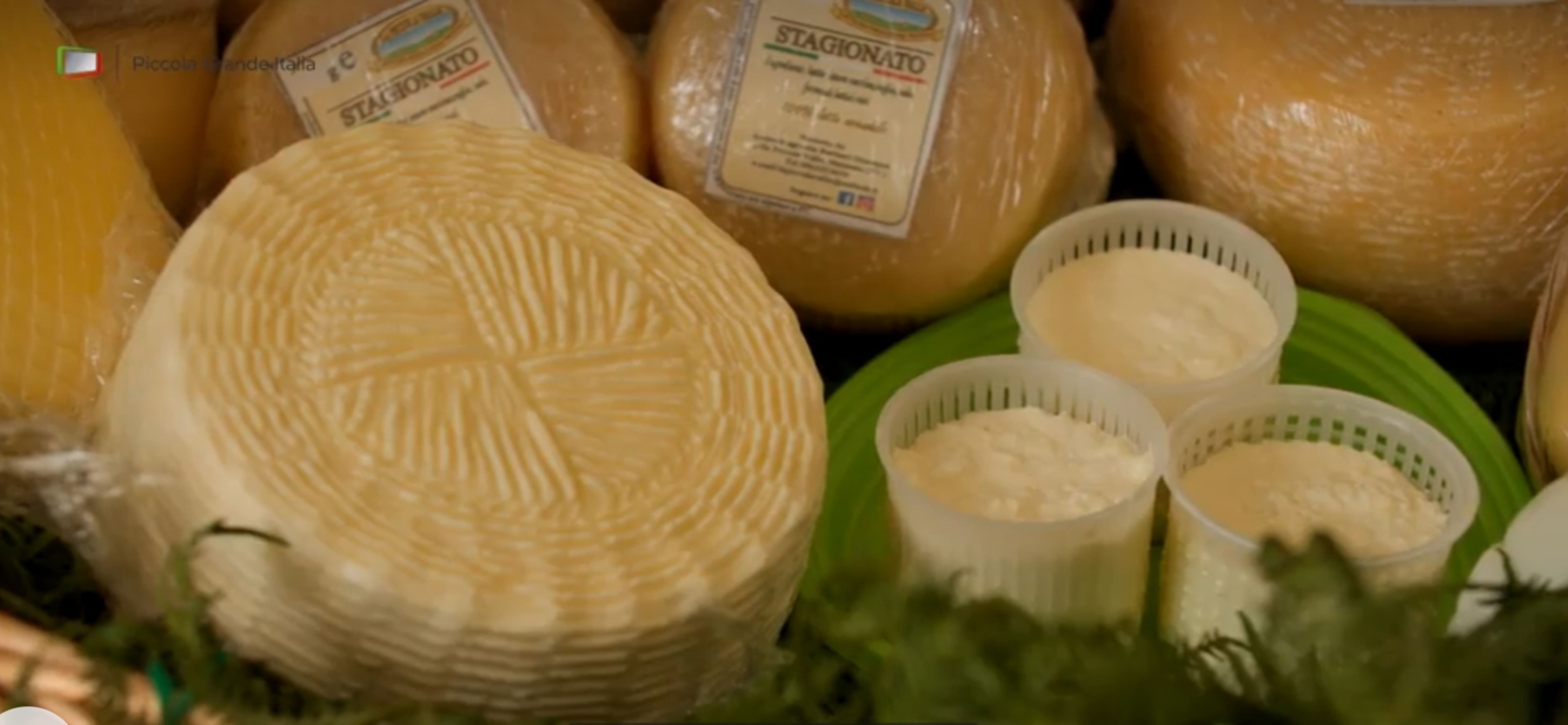 Formaggi