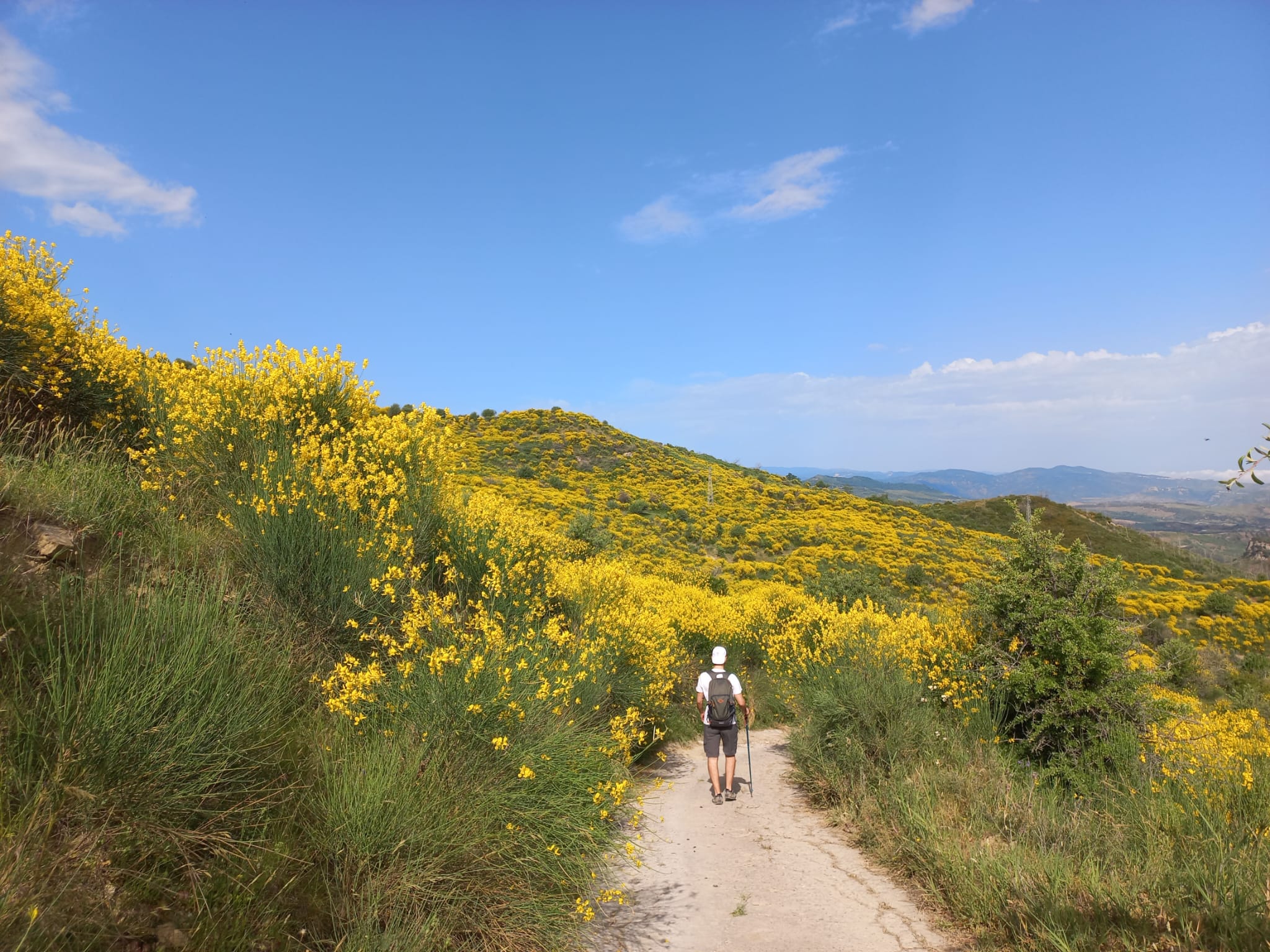 Cammino Magna Grecia