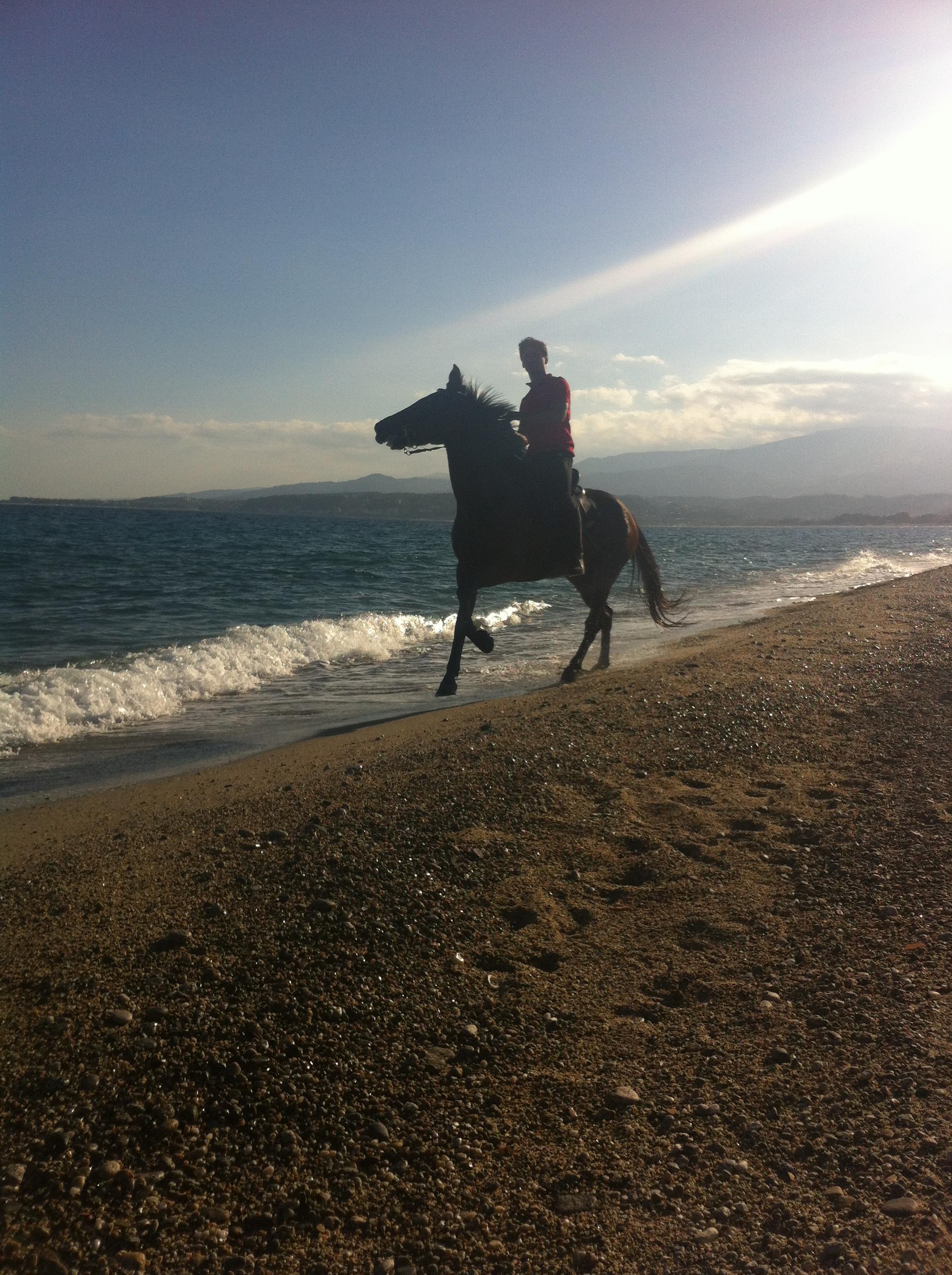 Cavalli Mare
